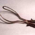 forceps instrument (www.fmed.uba.ar)
