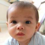 copil (www.minthegap.com)