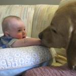 bebelus catel (http://2.bp.blogspot.com)