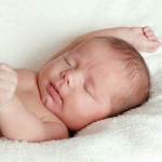bebelus (www.designsbyclm.com)