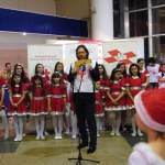 Nicolae Voiculet
