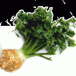 Ţelina-aliment-şi-medicament