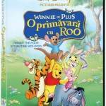 3d Winnie Roo