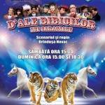 dalebibicilor
